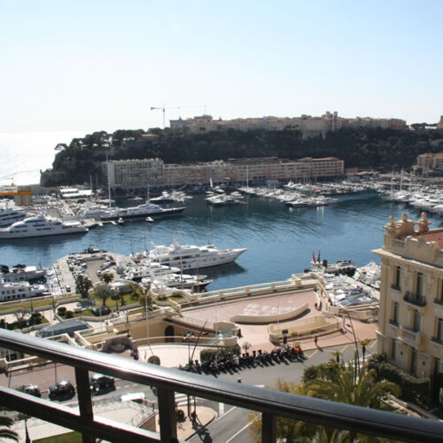 image-1741069887289-jfpci