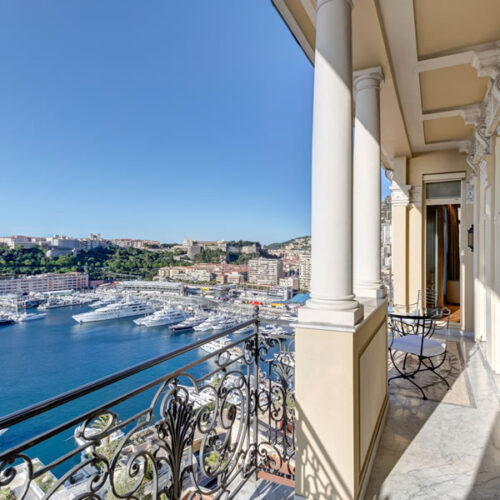 imageA-1741070375762-rjjmt