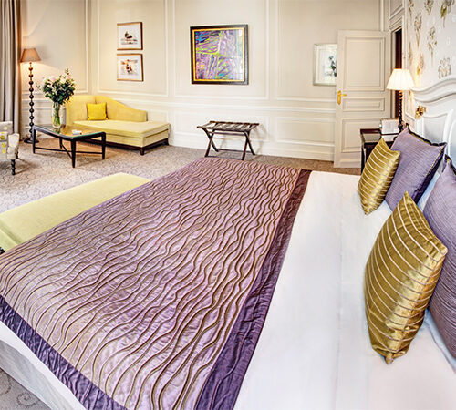 imageA-1741070375792-dk4r7