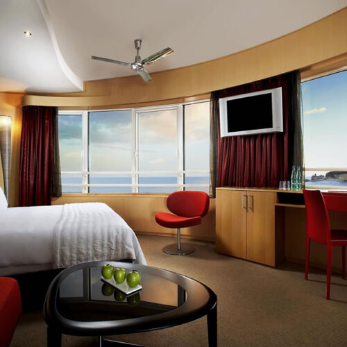 imageB-1741070632362-p3t0v