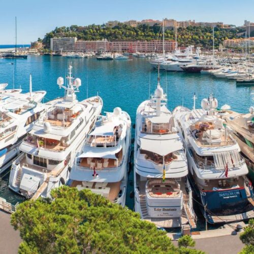 imageC-1741070949646-e9brh