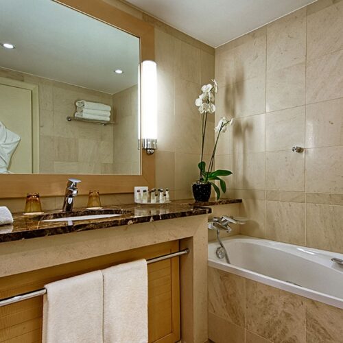 imageC-1741319700480-pb97l