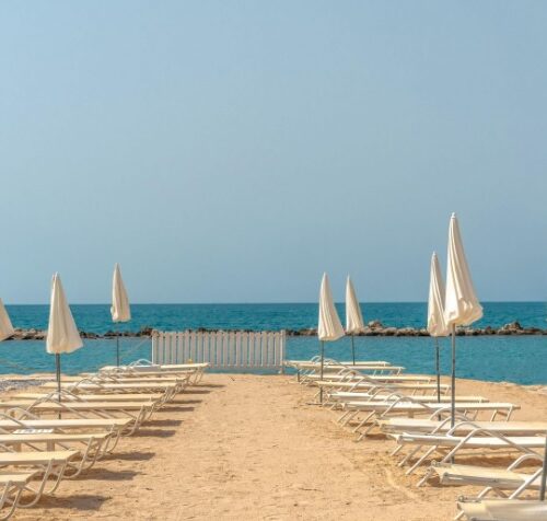 imageF-1741315792137-y9gft