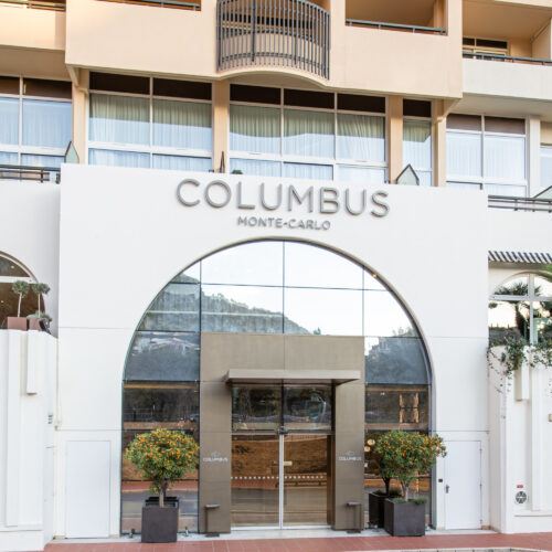 imageS-1741314558818-td1o3